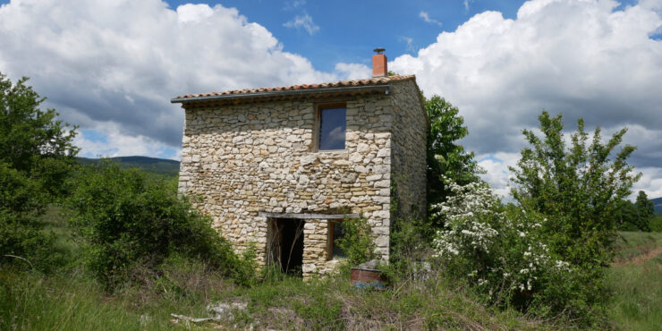 Cabanon au milieu des champs de lavande de Sault